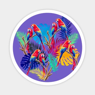Macaws Magnet